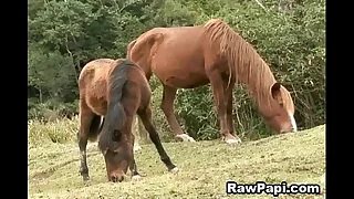 1210 latino porn videos